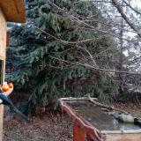 photo 2021-12-15 09-00-11