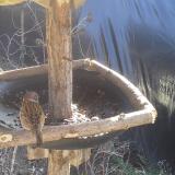 photo 2019-02-18 12-00-20