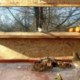 photo 2022-01-21 12-25-38