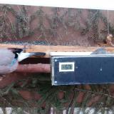 photo 2021-03-08 06-16-55