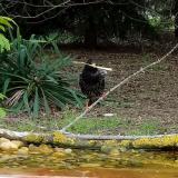 photo 2021-04-27 08-31-38-seregely