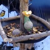 photo 2019-01-14 11-34-34