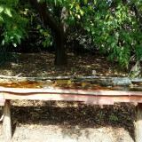 photo 2021-10-02 12-40-03