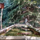 photo 2023-10-03 10-46-33