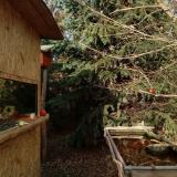 photo 2022-01-01 14-07-15