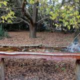 photo 2021-10-19 16-54-45