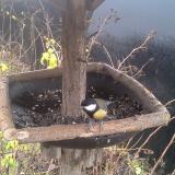 photo 2019-12-23 10-01-48