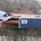 photo 2021-02-25 07-09-39