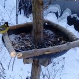 photo 2019-01-07 08-22-20