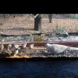 photo 2021-11-27 12-36-24