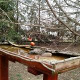 photo 2022-03-17 12-43-41