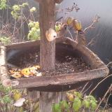 photo 2019-12-08 07-33-29