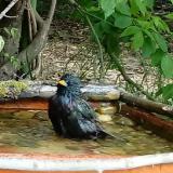 photo 2021-05-12 12-11-05 s4eregely