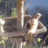 photo 2019-12-17 14-19-47