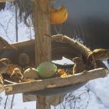 photo 2019-01-27 09-17-05