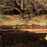 photo 2021-10-27 14-10-21