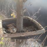 photo 2019-12-29 09-08-08