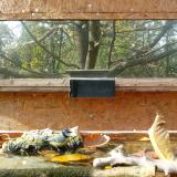 photo 2023-10-25 13-28-59