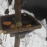 photo 2019-01-23 11-03-20