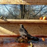 photo 2022-01-23 12-32-08