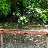 photo 2021-05-25 10-31-26