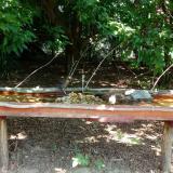 photo 2021-07-22 11-05-11