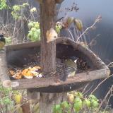 photo 2019-12-07 14-08-26