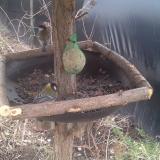 photo 2019-02-10 13-48-33