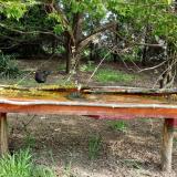 photo 2021-04-27 09-08-37