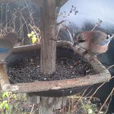 photo 2019-12-25 09-01-11