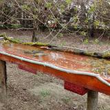 photo 2021-04-03 09-19-49