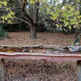 photo 2021-10-19 16-53-11