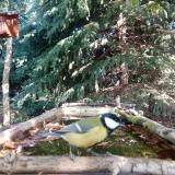 photo 2023-10-06 11-13-43