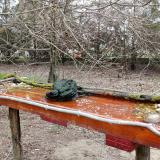 photo 2021-03-24 14-54-29