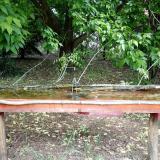 photo 2021-05-19 10-12-43