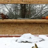 photo 2022-01-22 09-32-59