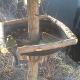 photo 2019-02-14 08-04-07