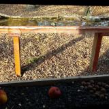 photo 2021-11-03 14-34-44