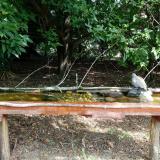 photo 2021-08-23 10-54-28