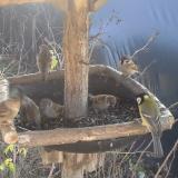 photo 2019-12-26 11-38-10