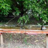 photo 2021-05-25 10-34-29