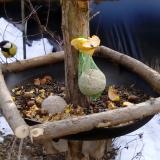 photo 2019-01-15 11-54-27