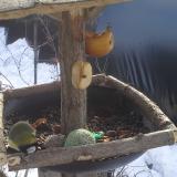 photo 2019-01-29 10-55-52