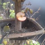 photo 2019-12-05 13-13-59