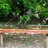 photo 2021-05-25 11-34-50