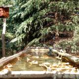 photo 2023-10-17 13-11-28