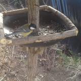 photo 2019-02-20 10-34-20