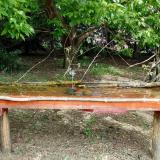 photo 2021-05-06 11-02-10