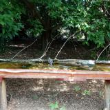 photo 2021-08-09 12-22-56