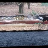 photo 2021-12-11 09-26-05